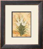 Buy White Surprise at AllPosters.com