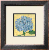 Happiness, Hydrangea