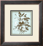 Buy Dussurgey Ellebore on Blue at AllPosters.com