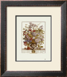Twelve Months of Flowers, 1730, July