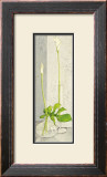 Buy Water Games at AllPosters.com