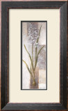 Buy Freesia at AllPosters.com