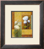 Buy Blue and White Hydrangea at AllPosters.com