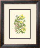 Buy Summer Garden XI at AllPosters.com