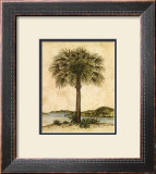 Buy Palm Paradise II at AllPosters.com