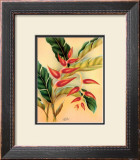 Buy Heliconia at AllPosters.com