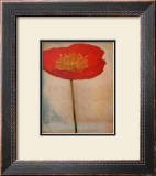 Papavero Framed Art Print