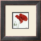 Buy Summertime at AllPosters.com