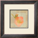 Hellebore II