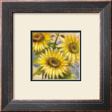 Buy Magnificent Suns at AllPosters.com