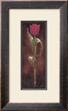 Buy Mystic Tulip Dark Red at AllPosters.com