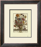 Twelve Months of Flowers, 1730, March