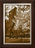 Buy Flatiron in Spring at AllPosters.com