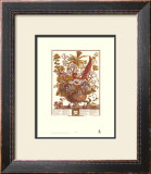 Twelve Months of Flowers, 1730, December