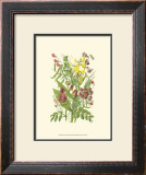 Buy Summer Garden IX at AllPosters.com