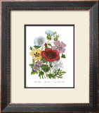 Buy Hibiscus at AllPosters.com