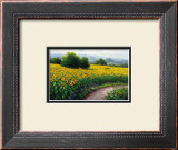 Field of Sunflowers