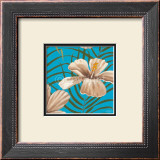 Buy Haiti at AllPosters.com