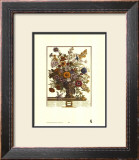 Twelve Months of Flowers, 1730, November