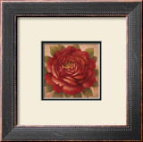 Buy Sacred Rose II at AllPosters.com
