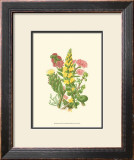 Buy Summer Garden X at AllPosters.com