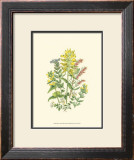 Buy Summer Garden XII at AllPosters.com