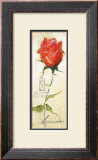 Buy Rose Gabriella at AllPosters.com