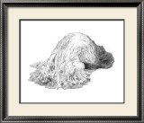 Abstract Creature with Black Grain