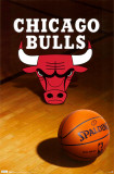 Chicago Bulls