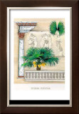 Signa Revisa I
