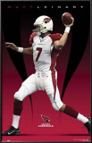 Buy Arizona Cardinals - Matt Leinart at AllPosters.com