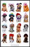 Puppies with Hats