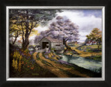 Country Reflections Framed Art Print