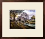 Country Reflections Framed Art Print