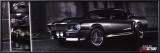 Buy GT 500 at AllPosters.com