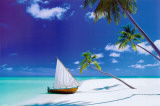 Paradise Found