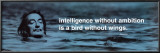 Salvador Dali - Intelligence Lamina Framed Poster