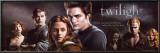 Buy Twilight at AllPosters.com