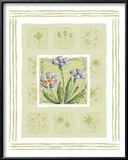 Buy Petunias at AllPosters.com
