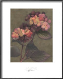 Buy Autumn Kisses I at AllPosters.com