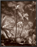 Buy Place of Refuge II at AllPosters.com