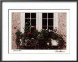 Buy Window Box at AllPosters.com