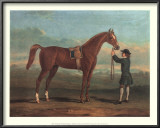 Racehorse Shakespeare