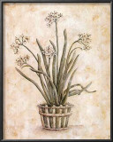 Buy White on White I at AllPosters.com