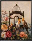 Buy Cockatiel and Roses at AllPosters.com