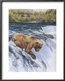 Buy Catch of the Day at AllPosters.com