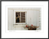 Buy Jonathan's Window at AllPosters.com