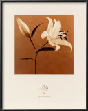 Buy Lily at AllPosters.com