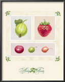 Antique Fruits