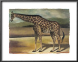 Buy Giraffe at AllPosters.com